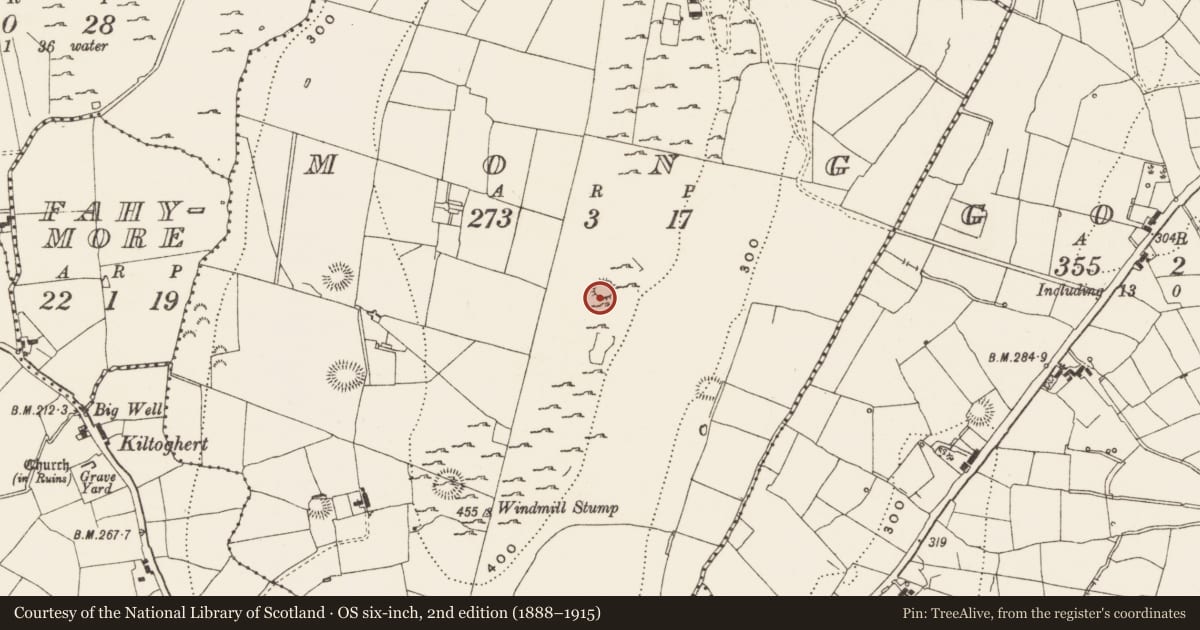 Ordnance Survey six-inch map, 2nd edition (1888–1915) covering the location of Ringfort - cashel, Mong, County Leitrim, with a pin at the register's coordinates