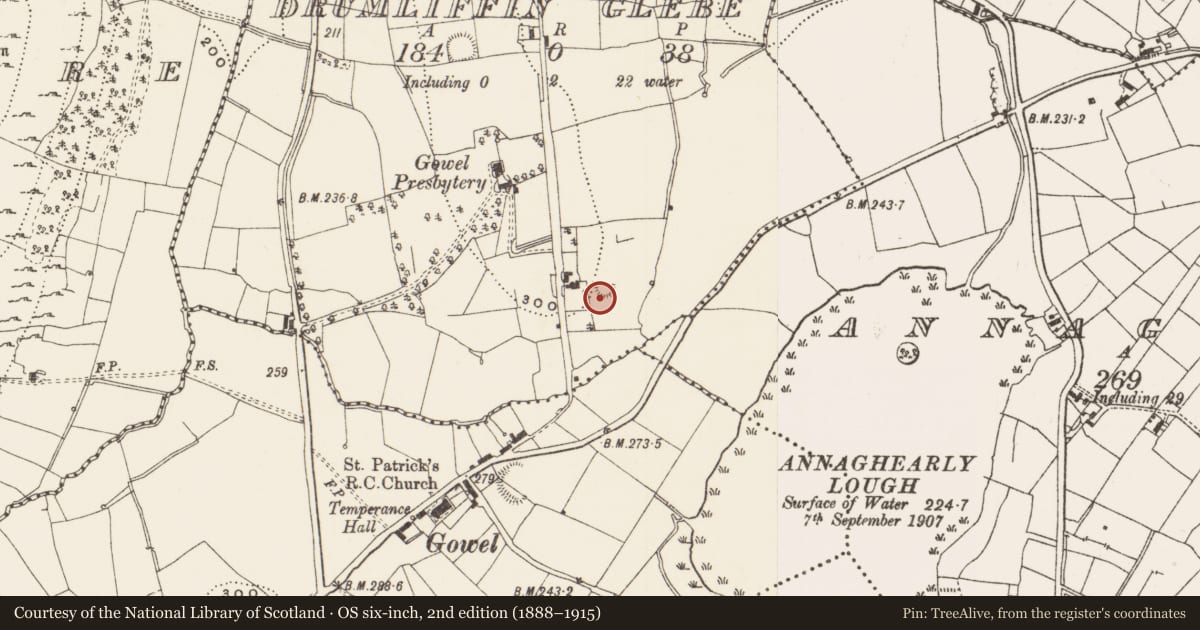 Ordnance Survey six-inch map, 2nd edition (1888–1915) covering the location of Ringfort - unclassified, Drumliffin Glebe, County Leitrim, with a pin at the register's coordinates