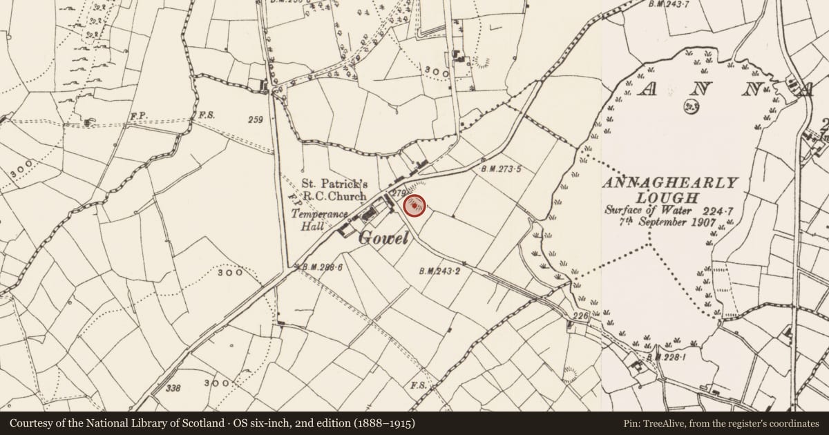 Ordnance Survey six-inch map, 2nd edition (1888–1915) covering the location of Ringfort - rath, Gowel, County Leitrim, with a pin at the register's coordinates