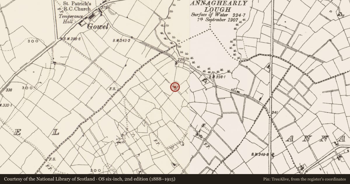 Ordnance Survey six-inch map, 2nd edition (1888–1915) covering the location of Ringfort - rath, Finisklin, County Leitrim, with a pin at the register's coordinates