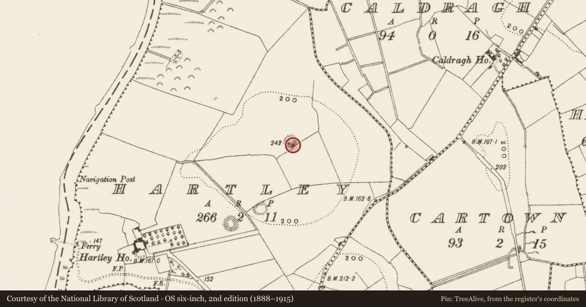 Ordnance Survey six-inch map, 2nd edition (1888–1915) covering the location of Ringfort - rath, Hartley, County Leitrim, with a pin at the register's coordinates