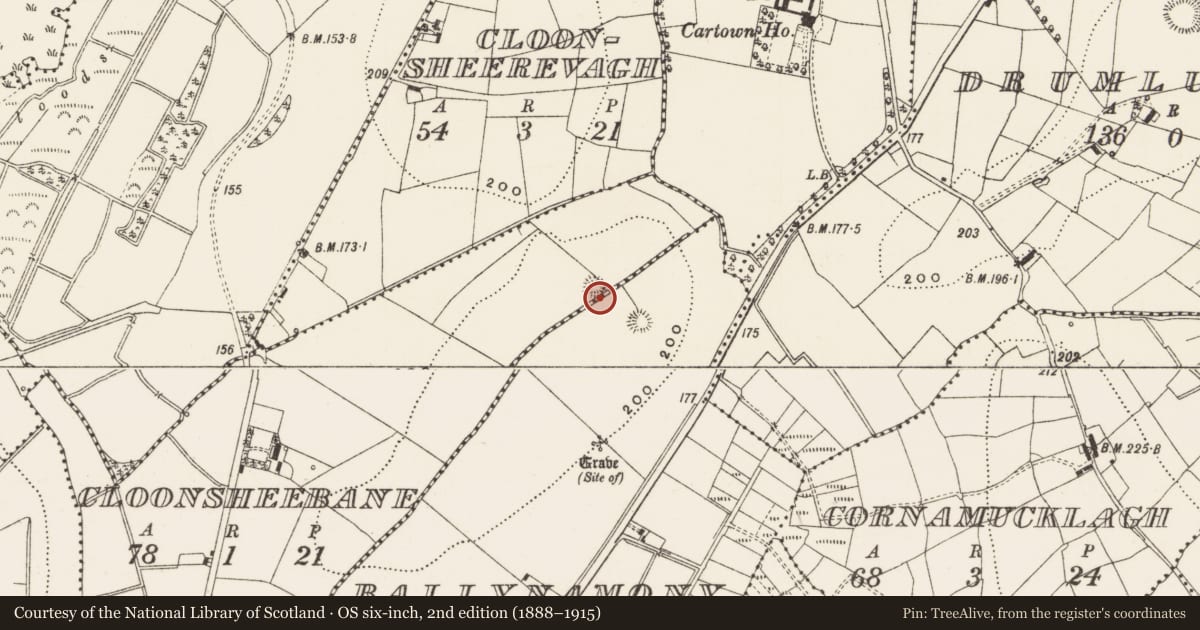 Ordnance Survey six-inch map, 2nd edition (1888–1915) covering the location of Ringfort - rath, Cloonsheebane, County Leitrim, with a pin at the register's coordinates