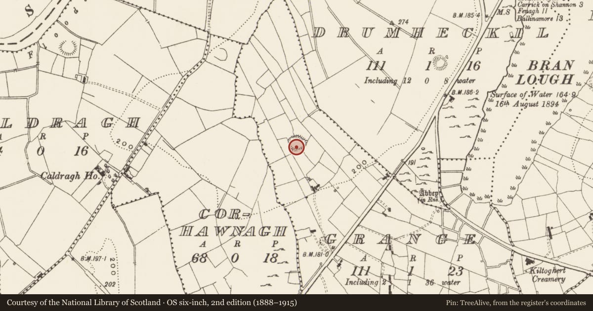 Ordnance Survey six-inch map, 2nd edition (1888–1915) covering the location of Ringfort - rath, Grange, County Leitrim, with a pin at the register's coordinates