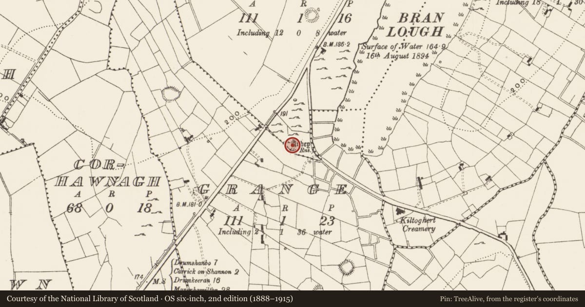 Ordnance Survey six-inch map, 2nd edition (1888–1915) covering the location of Church, Drumheckil, County Leitrim, with a pin at the register's coordinates