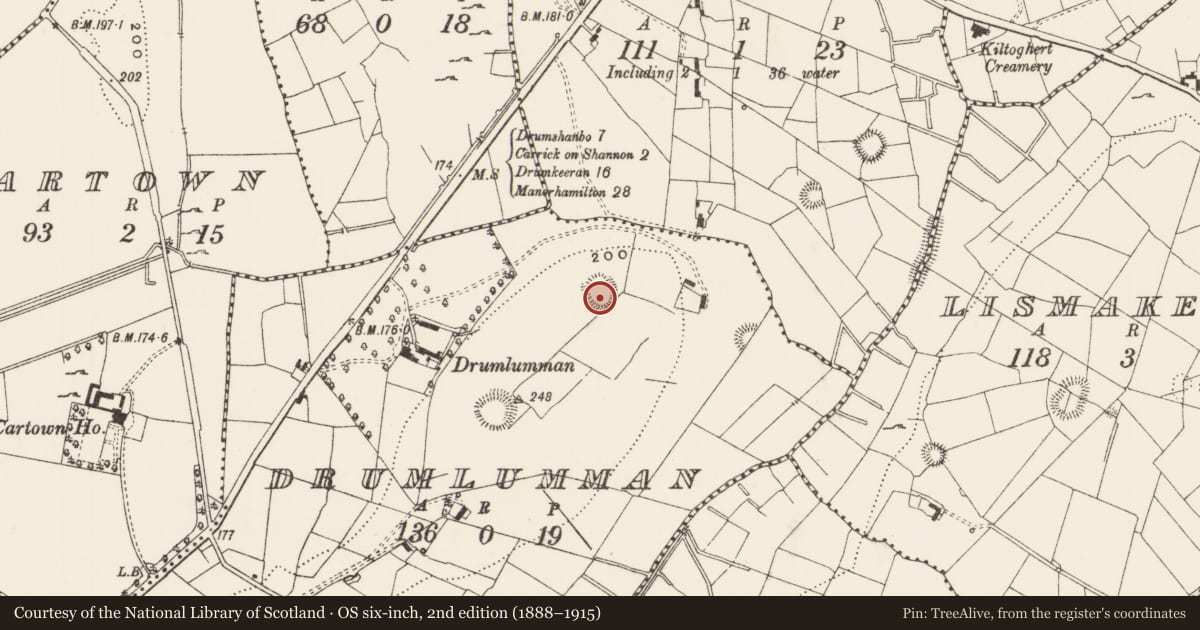 Ordnance Survey six-inch map, 2nd edition (1888–1915) covering the location of Ringfort - rath, Drumlumman, County Leitrim, with a pin at the register's coordinates