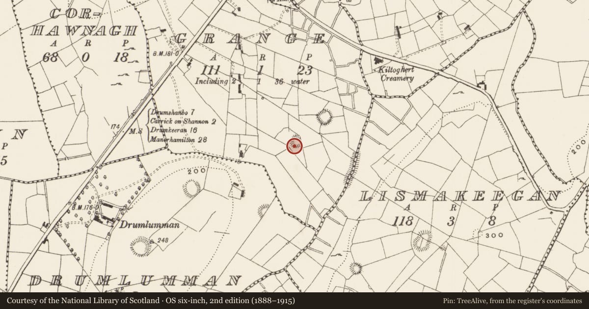 Ordnance Survey six-inch map, 2nd edition (1888–1915) covering the location of Ringfort - rath, Grange, County Leitrim, with a pin at the register's coordinates