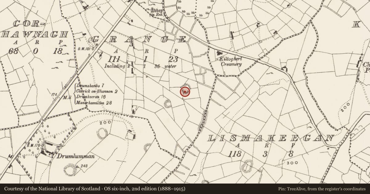 Ordnance Survey six-inch map, 2nd edition (1888–1915) covering the location of Ringfort - rath, Grange, County Leitrim, with a pin at the register's coordinates