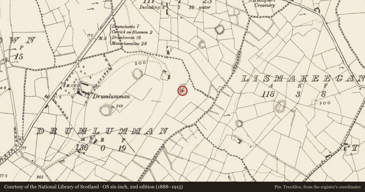 Ordnance Survey six-inch map, 2nd edition (1888–1915) covering the location of Ringfort - rath, Drumlumman, County Leitrim, with a pin at the register's coordinates