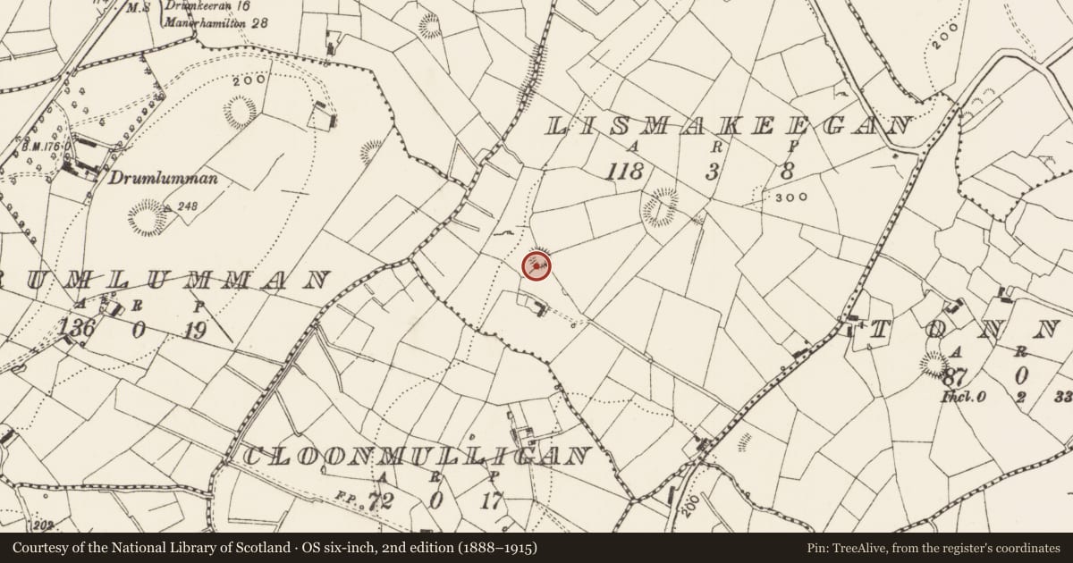 Ordnance Survey six-inch map, 2nd edition (1888–1915) covering the location of Ringfort - rath, Lismakeegan, County Leitrim, with a pin at the register's coordinates