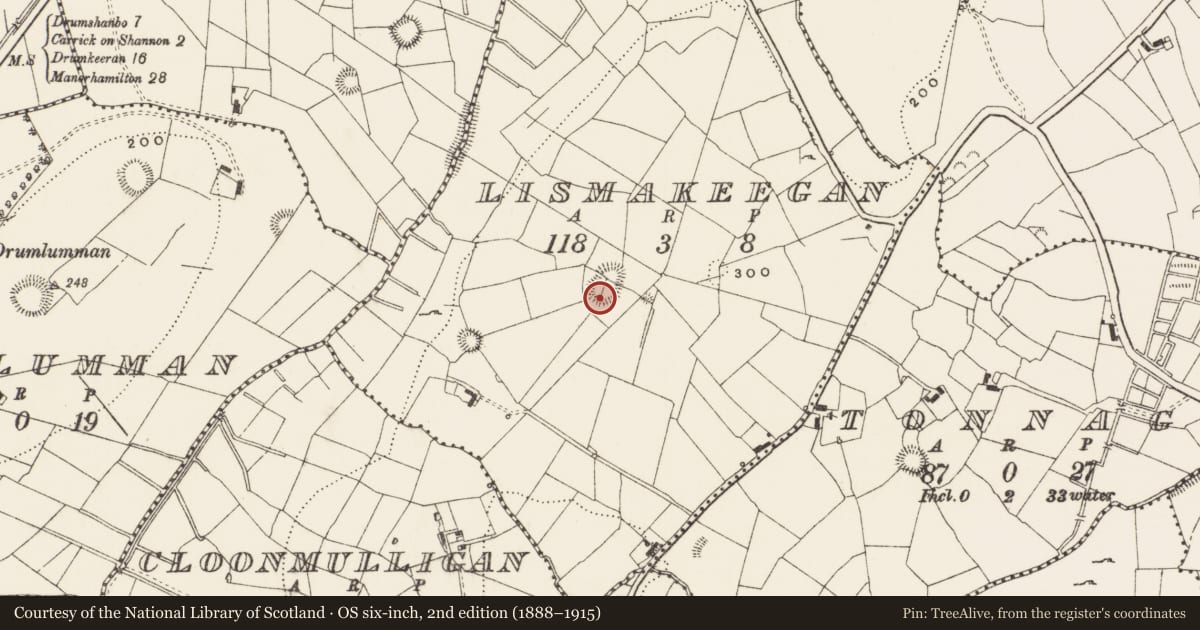 Ordnance Survey six-inch map, 2nd edition (1888–1915) covering the location of Ringfort - rath, Lismakeegan, County Leitrim, with a pin at the register's coordinates