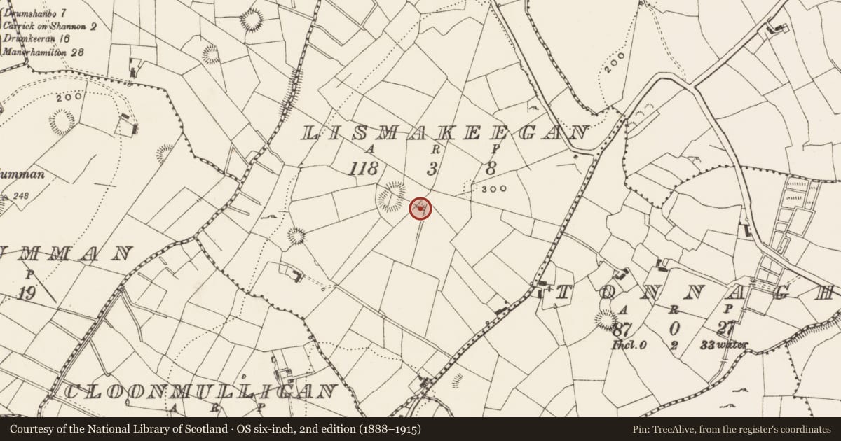 Ordnance Survey six-inch map, 2nd edition (1888–1915) covering the location of Enclosure, Lismakeegan, County Leitrim, with a pin at the register's coordinates