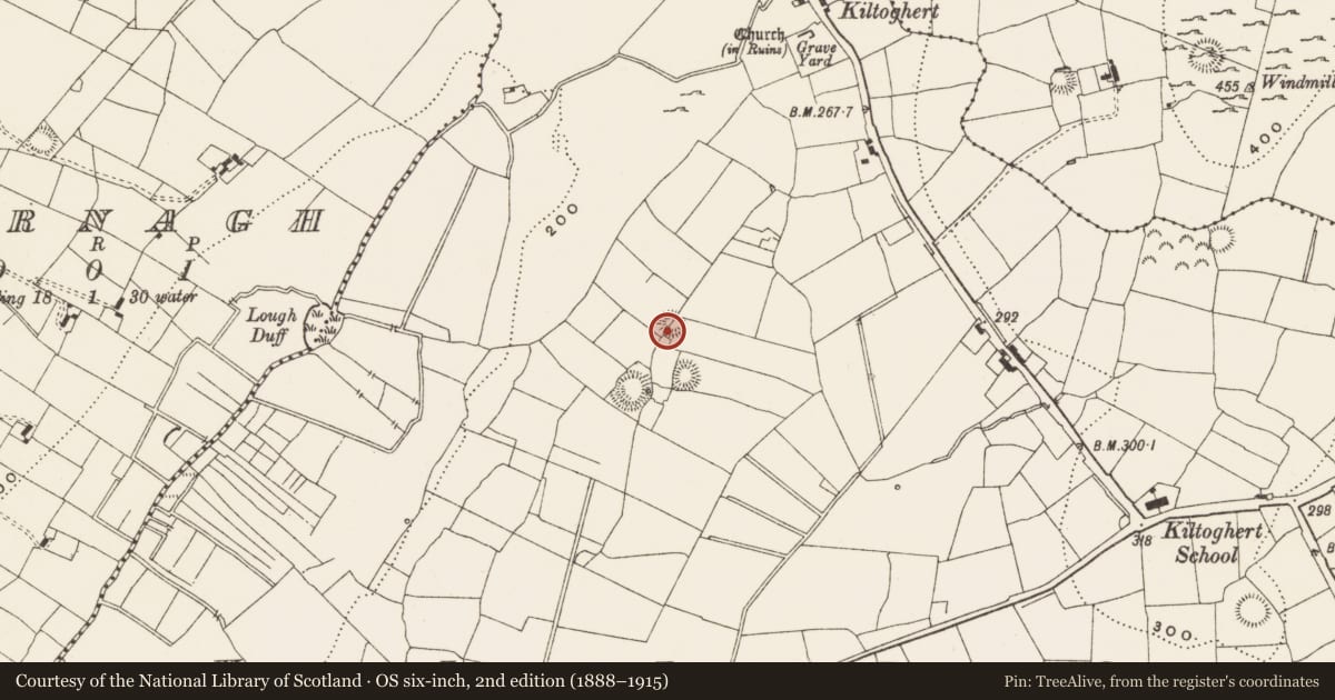 Ordnance Survey six-inch map, 2nd edition (1888–1915) covering the location of Ringfort - rath, Kiltoghert, County Leitrim, with a pin at the register's coordinates