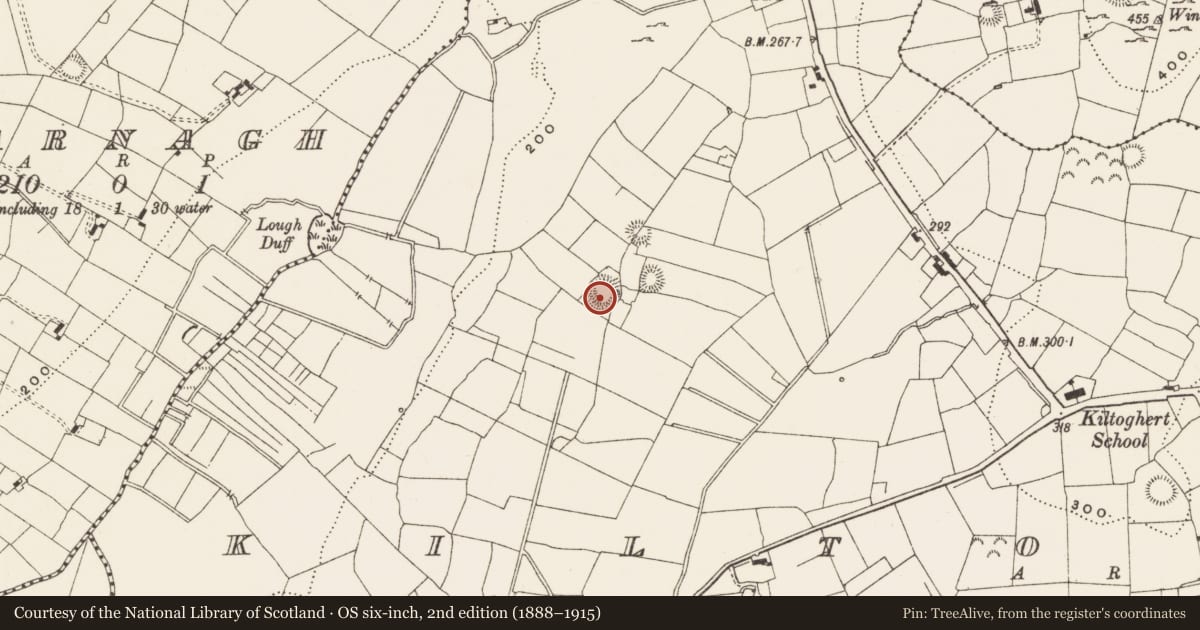 Ordnance Survey six-inch map, 2nd edition (1888–1915) covering the location of Ringfort - rath, Kiltoghert, County Leitrim, with a pin at the register's coordinates