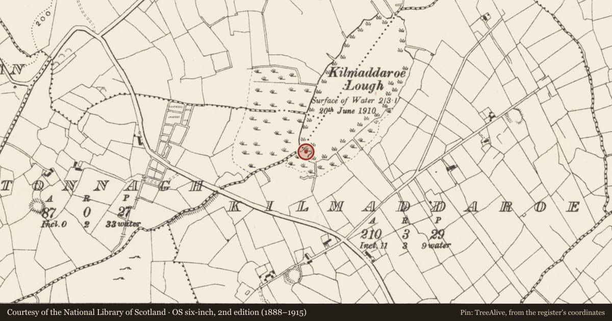 Ordnance Survey six-inch map, 2nd edition (1888–1915) covering the location of Crannog, Kilmaddaroe, County Leitrim, with a pin at the register's coordinates