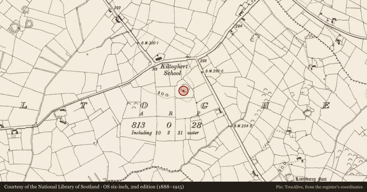 Ordnance Survey six-inch map, 2nd edition (1888–1915) covering the location of Ringfort - rath, Kiltoghert, County Leitrim, with a pin at the register's coordinates