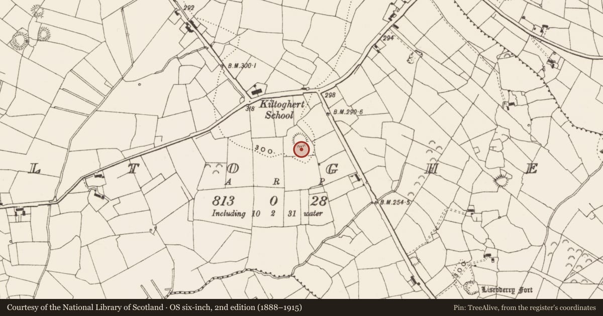 Ordnance Survey six-inch map, 2nd edition (1888–1915) covering the location of House - indeterminate date, Kiltoghert, County Leitrim, with a pin at the register's coordinates