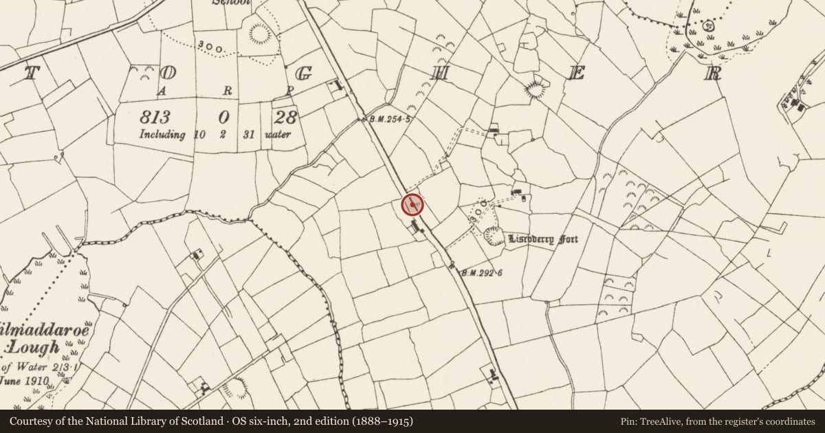Ordnance Survey six-inch map, 2nd edition (1888–1915) covering the location of Enclosure, Kiltoghert, County Leitrim, with a pin at the register's coordinates
