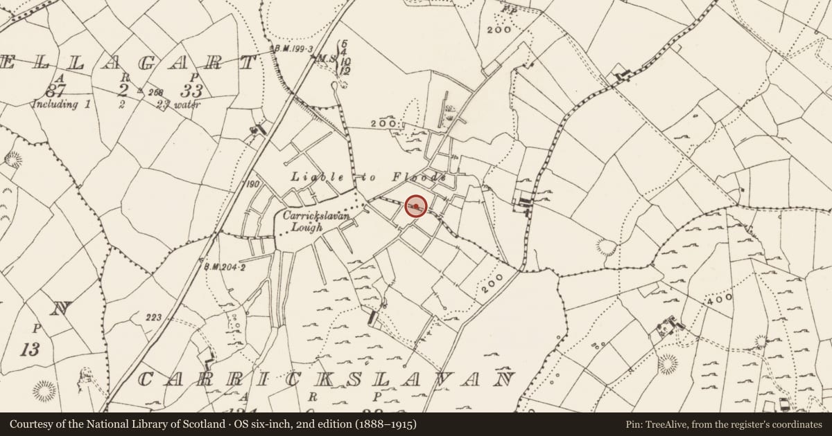 Ordnance Survey six-inch map, 2nd edition (1888–1915) covering the location of Crannog, Ballinwing, County Leitrim, with a pin at the register's coordinates