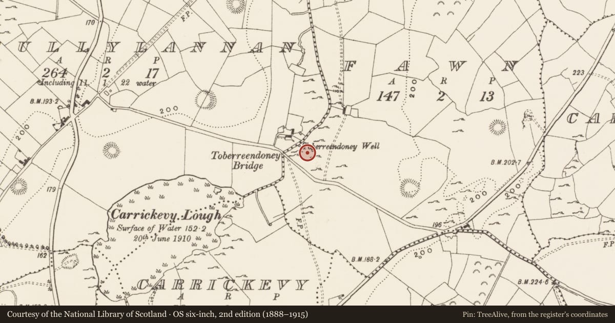 Ordnance Survey six-inch map, 2nd edition (1888–1915) covering the location of Ritual site - holy well, Fawn, County Leitrim, with a pin at the register's coordinates