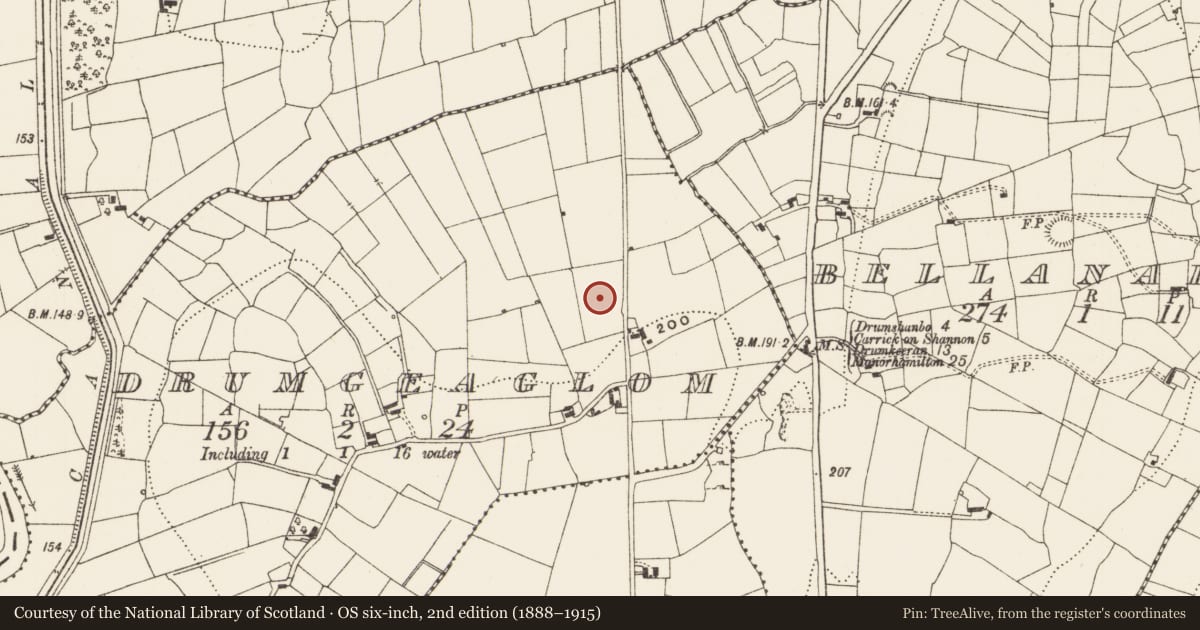 Ordnance Survey six-inch map, 2nd edition (1888–1915) covering the location of Megalithic structure, Drumgeaglom, County Leitrim, with a pin at the register's coordinates