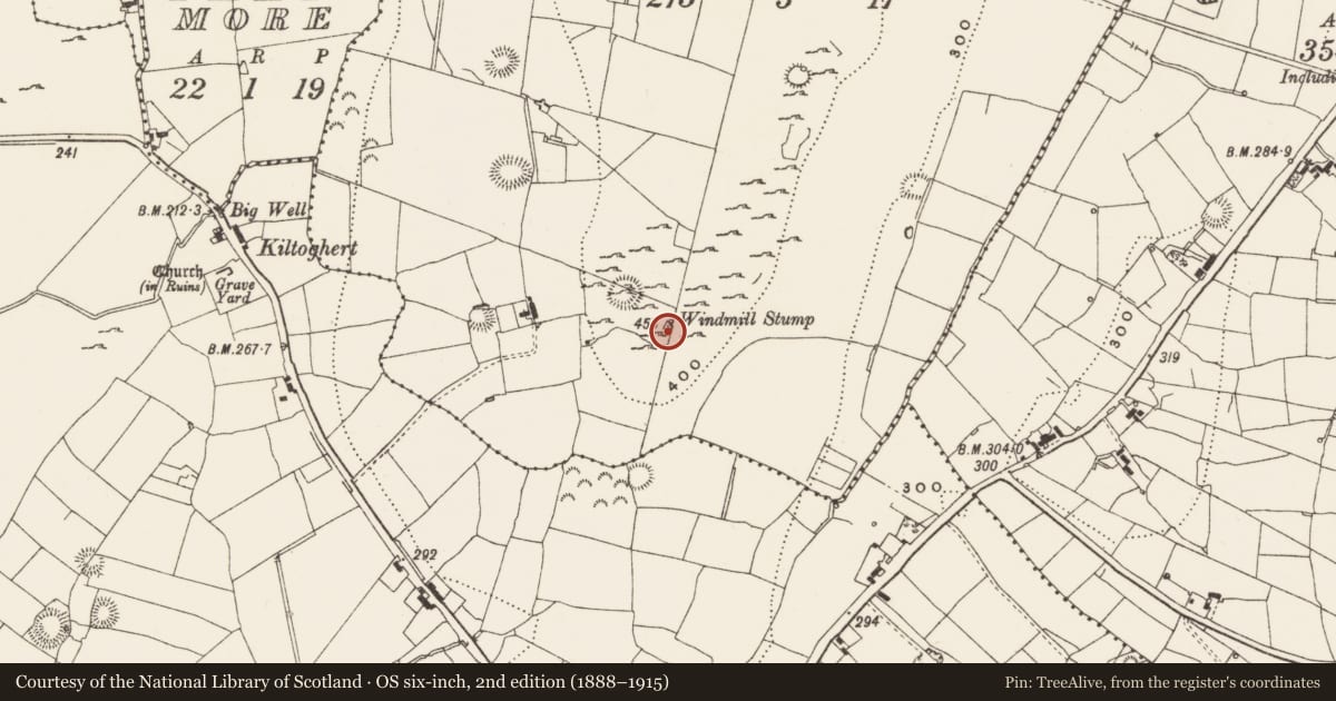 Ordnance Survey six-inch map, 2nd edition (1888–1915) covering the location of Windmill, Mong, County Leitrim, with a pin at the register's coordinates