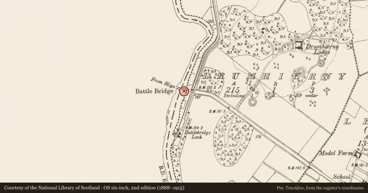 Ordnance Survey six-inch map, 2nd edition (1888–1915) covering the location of Bridge, Drumhierny, County Leitrim, with a pin at the register's coordinates