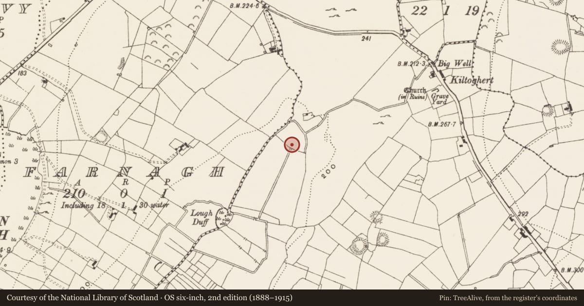 Ordnance Survey six-inch map, 2nd edition (1888–1915) covering the location of Ringfort - rath, Kiltoghert, County Leitrim, with a pin at the register's coordinates