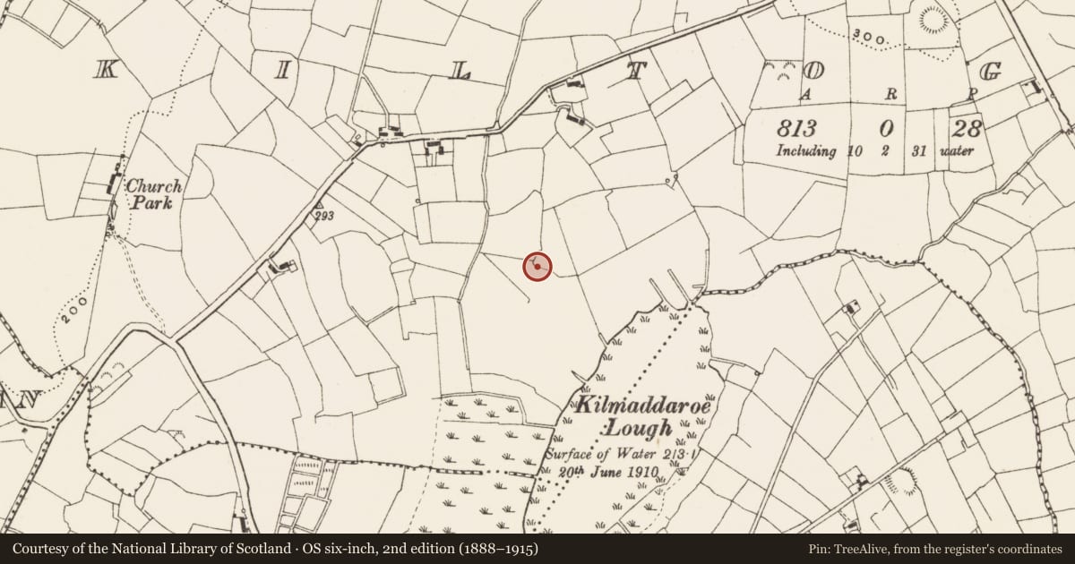 Ordnance Survey six-inch map, 2nd edition (1888–1915) covering the location of Ringfort - rath, Kiltoghert, County Leitrim, with a pin at the register's coordinates