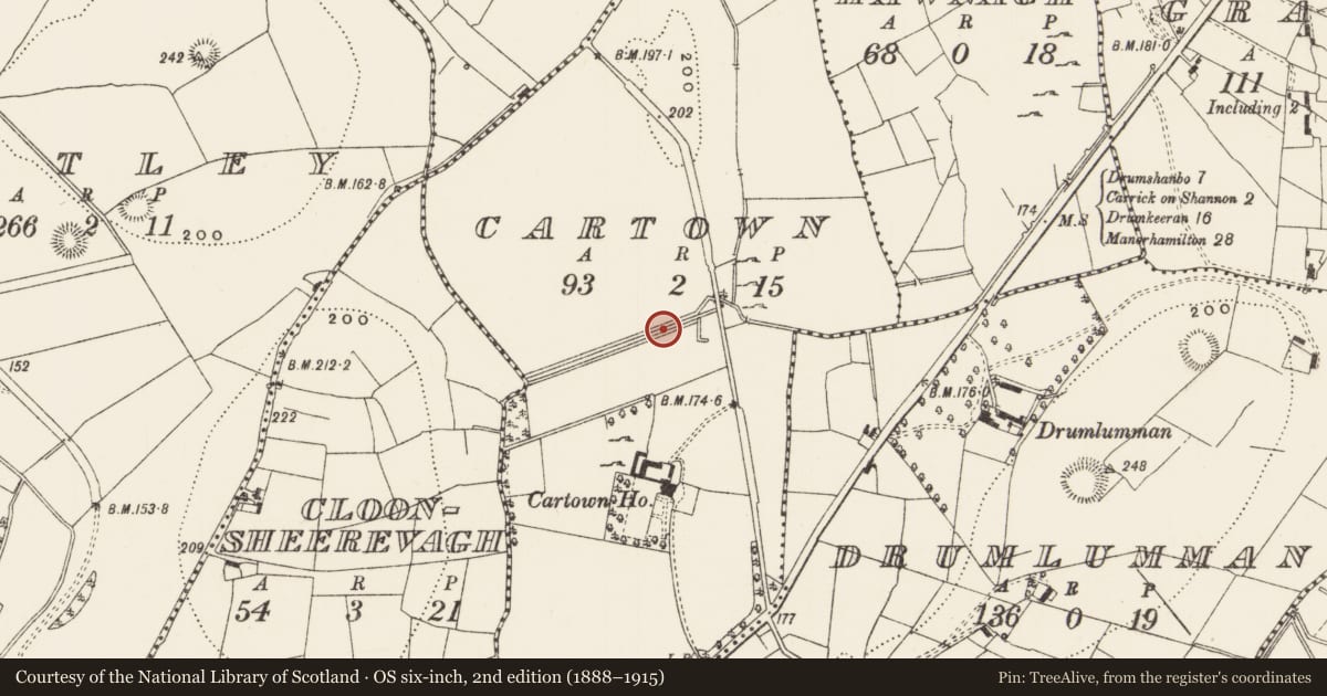 Ordnance Survey six-inch map, 2nd edition (1888–1915) covering the location of Ringfort - rath, Cartown, County Leitrim, with a pin at the register's coordinates