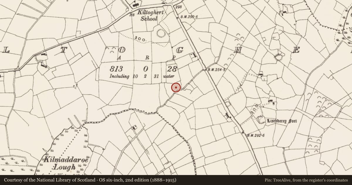 Ordnance Survey six-inch map, 2nd edition (1888–1915) covering the location of Ringfort - rath, Kiltoghert, County Leitrim, with a pin at the register's coordinates