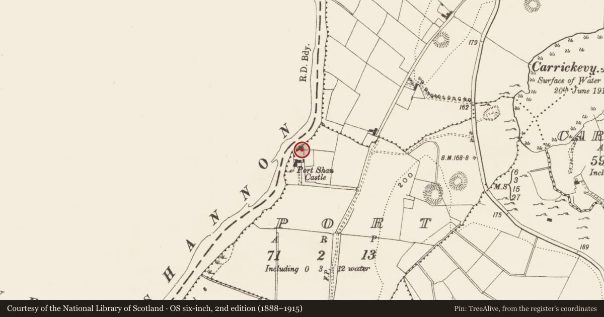 Ordnance Survey six-inch map, 2nd edition (1888–1915) covering the location of Burnt spread, Port, County Leitrim, with a pin at the register's coordinates