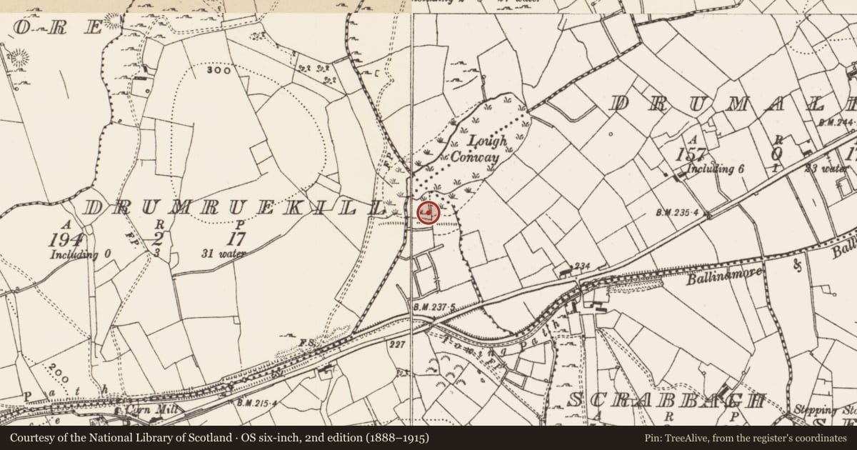 Ordnance Survey six-inch map, 2nd edition (1888–1915) covering the location of Crannog, Kilclaremore, County Leitrim, with a pin at the register's coordinates