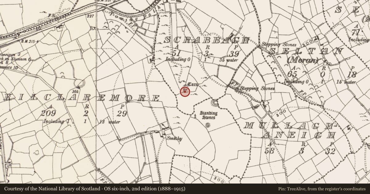 Ordnance Survey six-inch map, 2nd edition (1888–1915) covering the location of Megalithic tomb - passage tomb, Scrabbagh, County Leitrim, with a pin at the register's coordinates