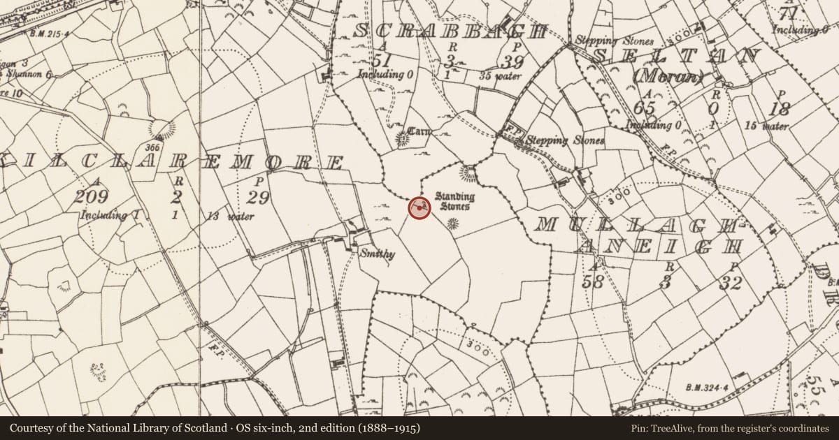Ordnance Survey six-inch map, 2nd edition (1888–1915) covering the location of Standing stone - pair, Kilclaremore, County Leitrim, with a pin at the register's coordinates