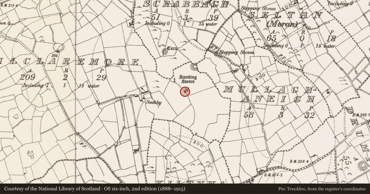 Ordnance Survey six-inch map, 2nd edition (1888–1915) covering the location of Cairn - ring-cairn, Kilclaremore, County Leitrim, with a pin at the register's coordinates