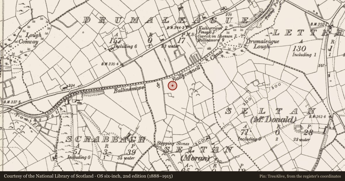 Ordnance Survey six-inch map, 2nd edition (1888–1915) covering the location of Crannog, County Leitrim, with a pin at the register's coordinates