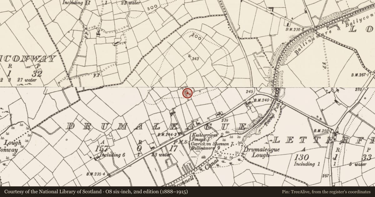 Ordnance Survey six-inch map, 2nd edition (1888–1915) covering the location of Ringfort - rath, Drumaleague, County Leitrim, with a pin at the register's coordinates