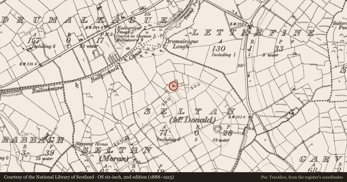 Ordnance Survey six-inch map, 2nd edition (1888–1915) covering the location of Ringfort - rath, Seltan (McDonald), County Leitrim, with a pin at the register's coordinates