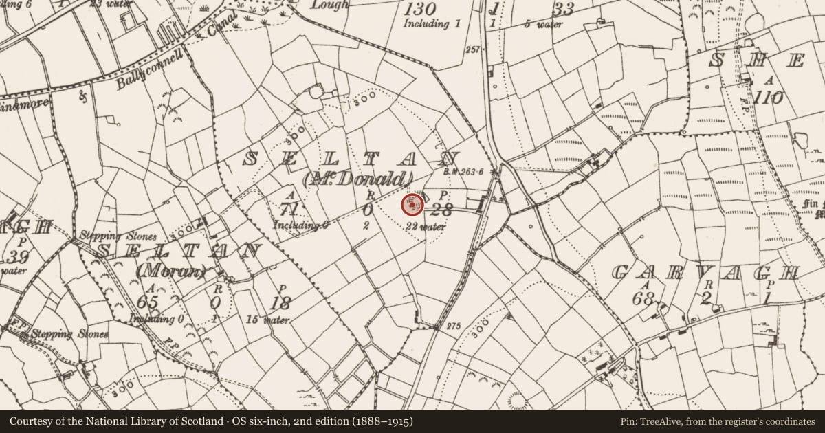 Ordnance Survey six-inch map, 2nd edition (1888–1915) covering the location of Ringfort - rath, Seltan (McDonald), County Leitrim, with a pin at the register's coordinates