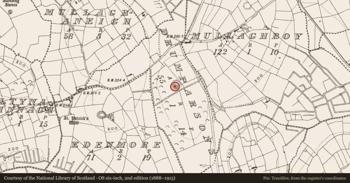 Ordnance Survey six-inch map, 2nd edition (1888–1915) covering the location of Ringfort - rath, Drumparsons, County Leitrim, with a pin at the register's coordinates