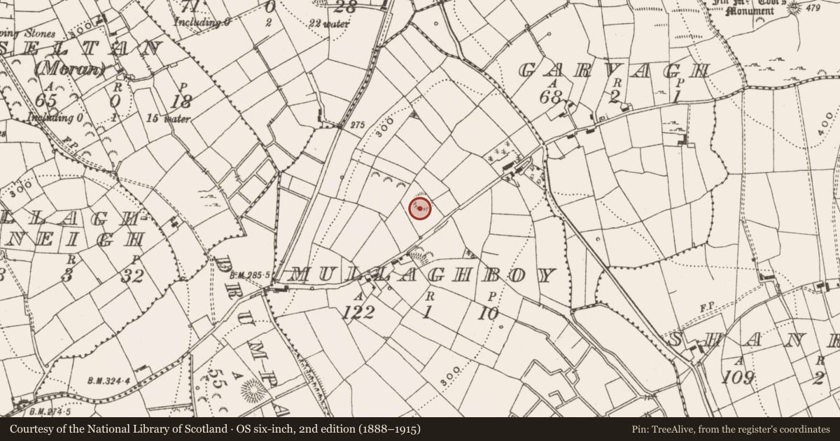 Ordnance Survey six-inch map, 2nd edition (1888–1915) covering the location of Ringfort - rath, Mullaghboy, County Leitrim, with a pin at the register's coordinates