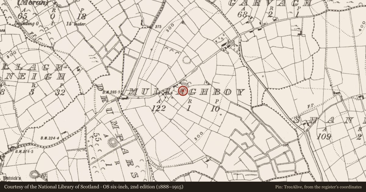 Ordnance Survey six-inch map, 2nd edition (1888–1915) covering the location of Ringfort - rath, Mullaghboy, County Leitrim, with a pin at the register's coordinates