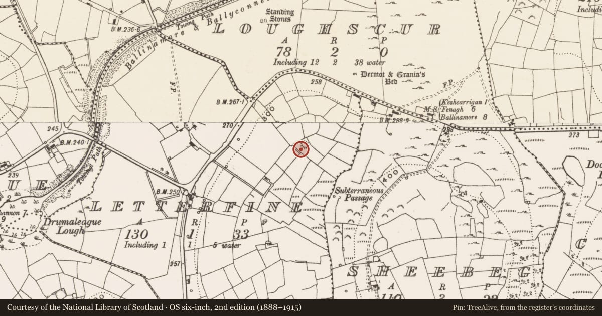 Ordnance Survey six-inch map, 2nd edition (1888–1915) covering the location of Ringfort - rath, Letterfine, County Leitrim, with a pin at the register's coordinates