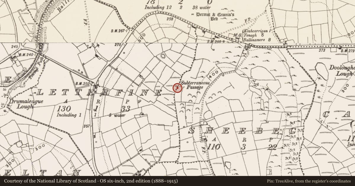 Ordnance Survey six-inch map, 2nd edition (1888–1915) covering the location of Cave, Sheebeg, County Leitrim, with a pin at the register's coordinates