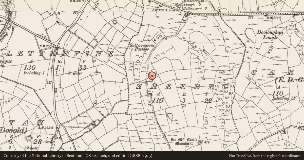 Ordnance Survey six-inch map, 2nd edition (1888–1915) covering the location of Ringfort - cashel, Sheebeg, County Leitrim, with a pin at the register's coordinates