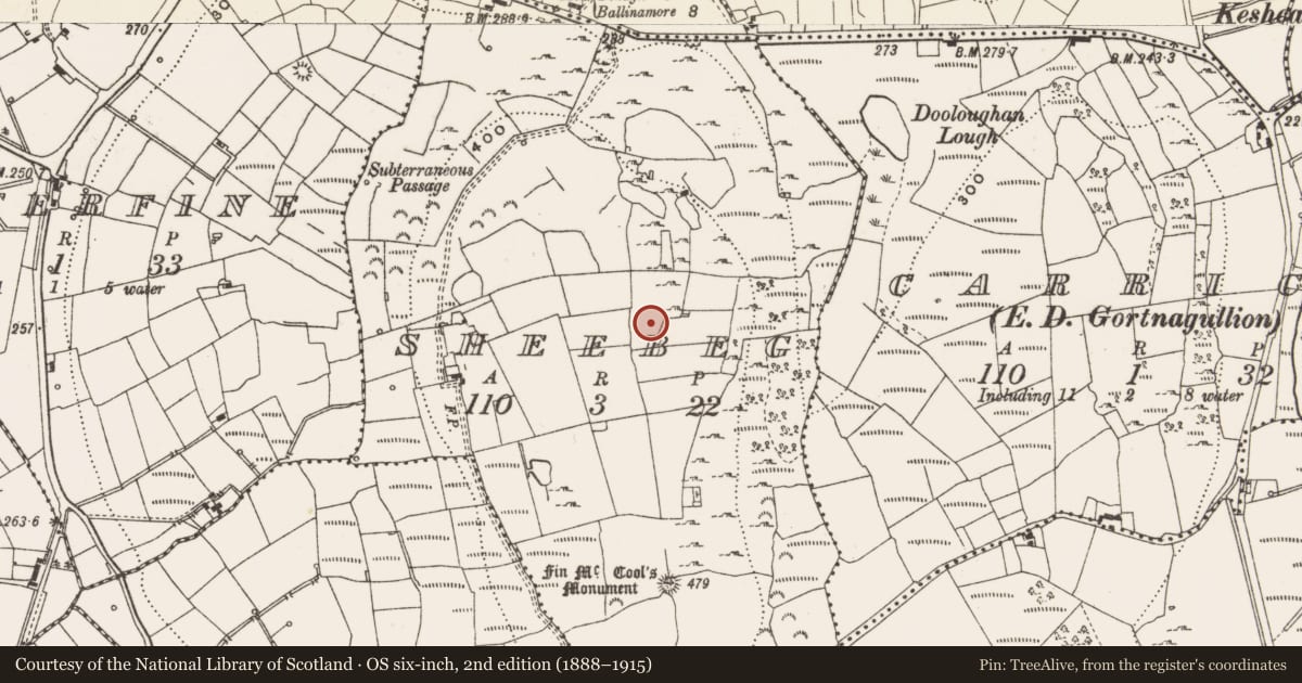 Ordnance Survey six-inch map, 2nd edition (1888–1915) covering the location of Cairn - ring-cairn, Sheebeg, County Leitrim, with a pin at the register's coordinates