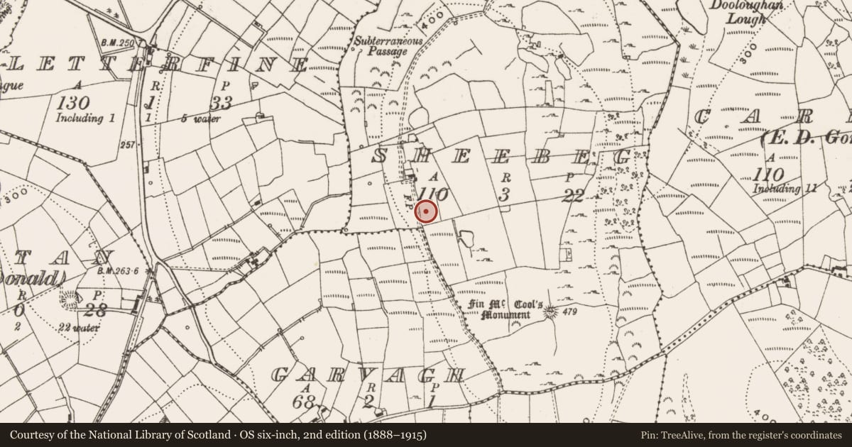 Ordnance Survey six-inch map, 2nd edition (1888–1915) covering the location of Ringfort - rath, Sheebeg, County Leitrim, with a pin at the register's coordinates