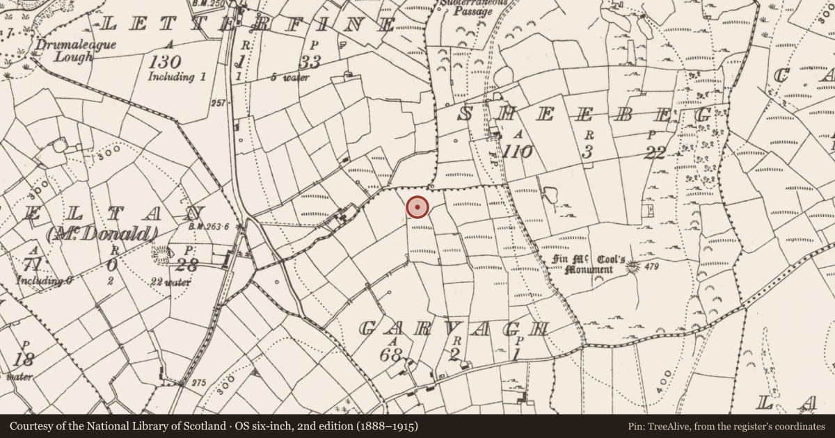 Ordnance Survey six-inch map, 2nd edition (1888–1915) covering the location of Ringfort - rath, Garvagh, County Leitrim, with a pin at the register's coordinates