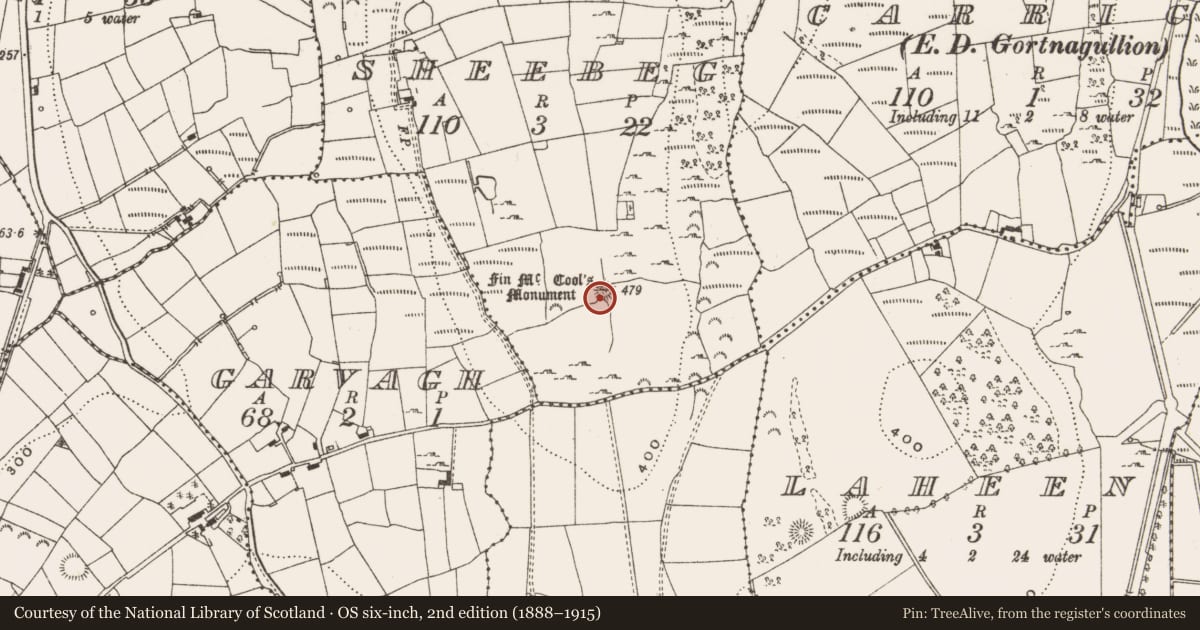 Ordnance Survey six-inch map, 2nd edition (1888–1915) covering the location of Megalithic tomb - passage tomb, Sheebeg, County Leitrim, with a pin at the register's coordinates