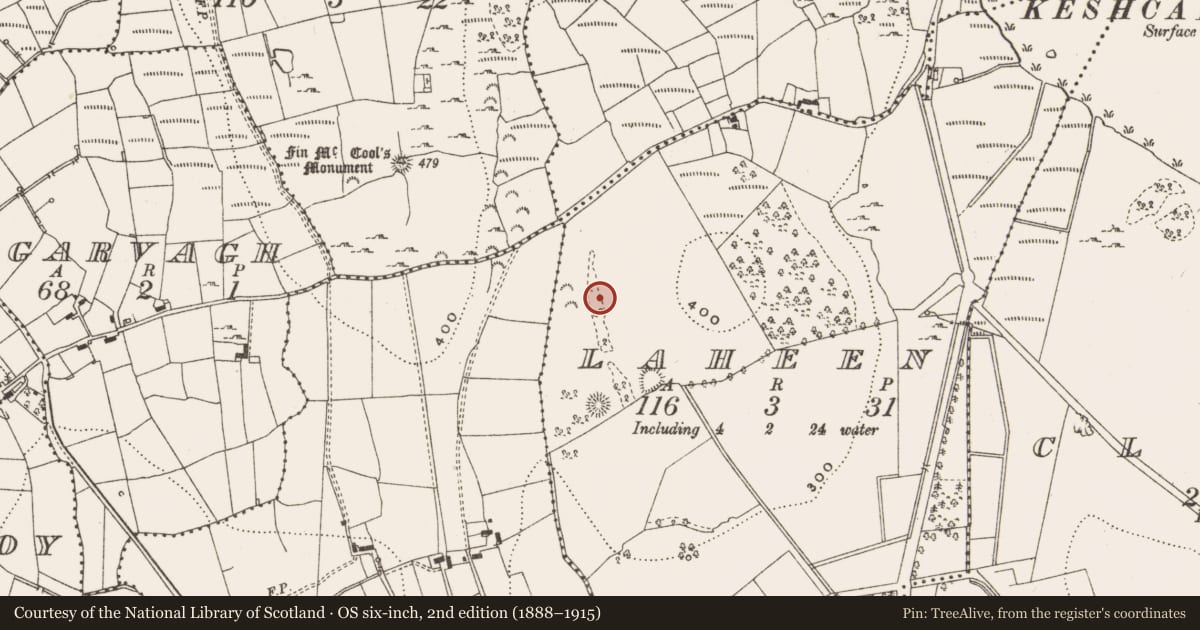 Ordnance Survey six-inch map, 2nd edition (1888–1915) covering the location of Barrow - ring-barrow, Laheen, County Leitrim, with a pin at the register's coordinates